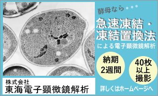 株式会社東海電子顕微鏡解析